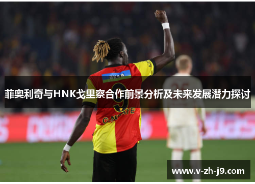 菲奥利奇与HNK戈里察合作前景分析及未来发展潜力探讨 菲奥利奇与HNK戈里察合作前景分析及未来发展潜力探讨