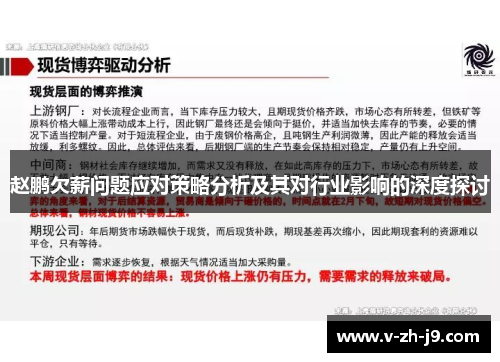 赵鹏欠薪问题应对策略分析及其对行业影响的深度探讨