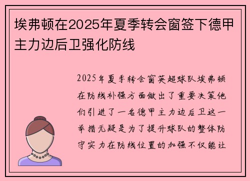 埃弗顿在2025年夏季转会窗签下德甲主力边后卫强化防线